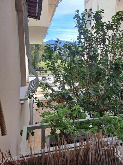 칼라마타 Δίπλα Στο Πάρκο 아파트 외부 사진